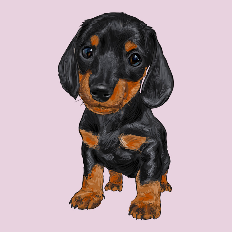 Dachshund Puppy Ladies Tee by RanaPortraitStore | Teevron