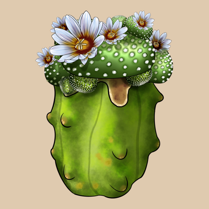 Blossfeldia Cacti Heavyweight Sweatshirt by LillyAllenDesigns | Teevron