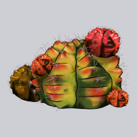 Gymnocalycium Variegated Cactus Heavyweight Sweatshirt | Teevron