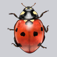 Lady Bug Heavyweight Sweatshirt | Teevron