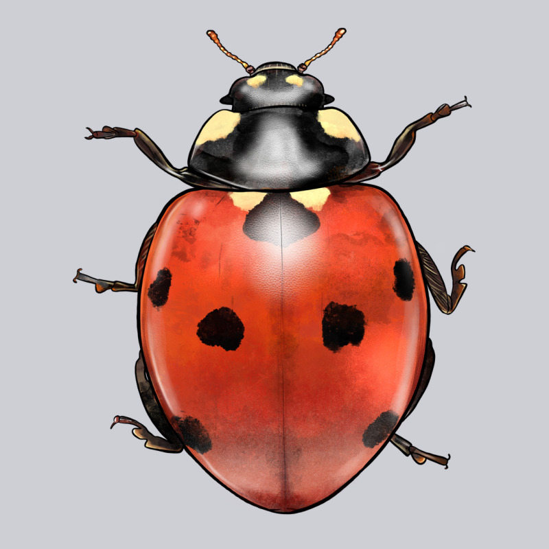 Lady Bug Heavyweight Sweatshirt by LillyAllenDesigns | Teevron