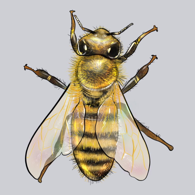 Bee Heavyweight Sweatshirt by LillyAllenDesigns | Teevron