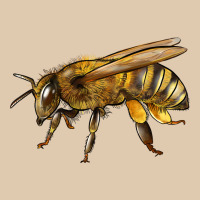 Bee Side Heavyweight Sweatshirt | Teevron