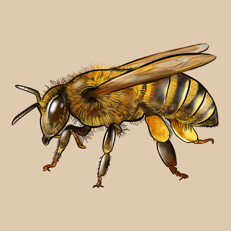 Bee Side Heavyweight Sweatshirt by LillyAllenDesigns | Teevron
