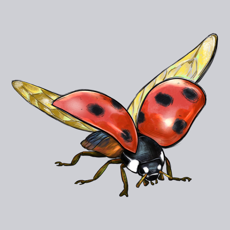 Ladybug Flying Heavyweight Sweatshirt by LillyAllenDesigns | Teevron