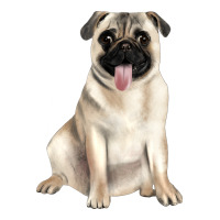 pug | Teevron