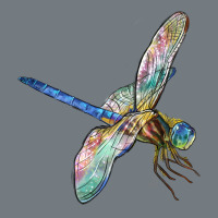 Dragon Fly Heavyweight Sweatshirt | Teevron