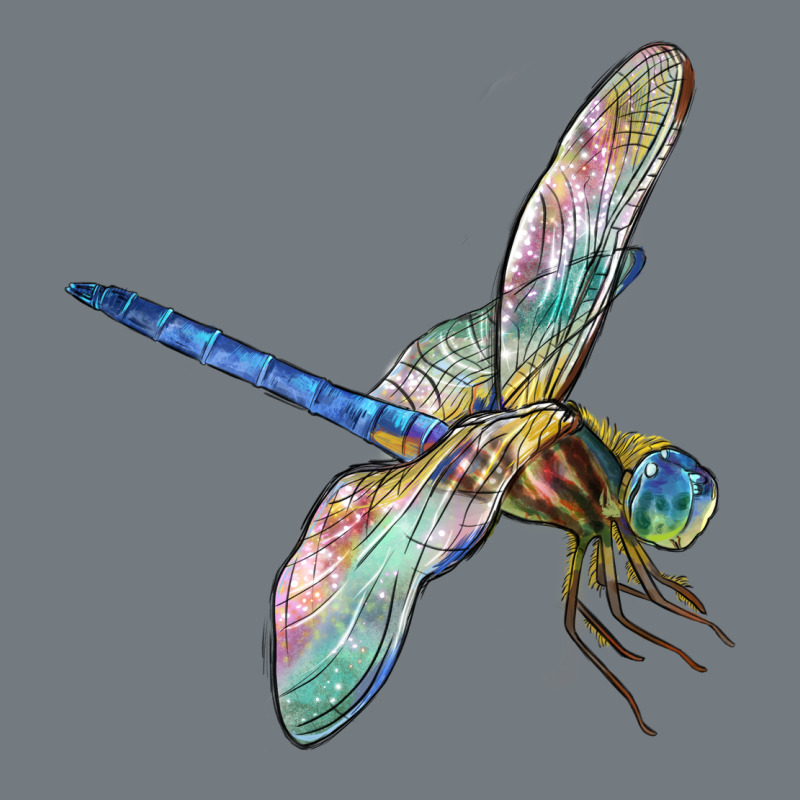 Dragon Fly Heavyweight Sweatshirt by LillyAllenDesigns | Teevron