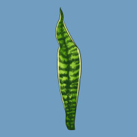 Snake Plant Urban Heavy Tee | Teevron