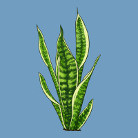 Snake Plant Urban Heavy Tee | Teevron