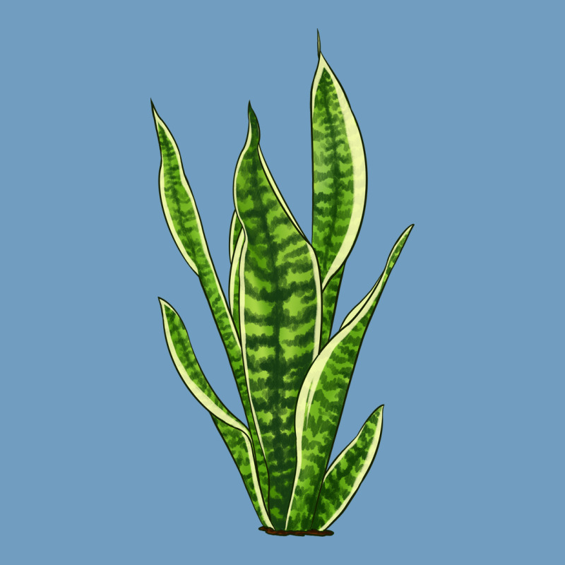 Snake Plant Urban Heavy Tee by LillyAllenDesigns | Teevron