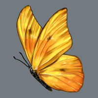 Flying Cloudless Sulphur Butterfly Heavyweight Sweatshirt | Teevron