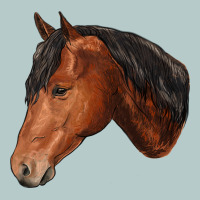 Horse Heavy Core Tee | Teevron