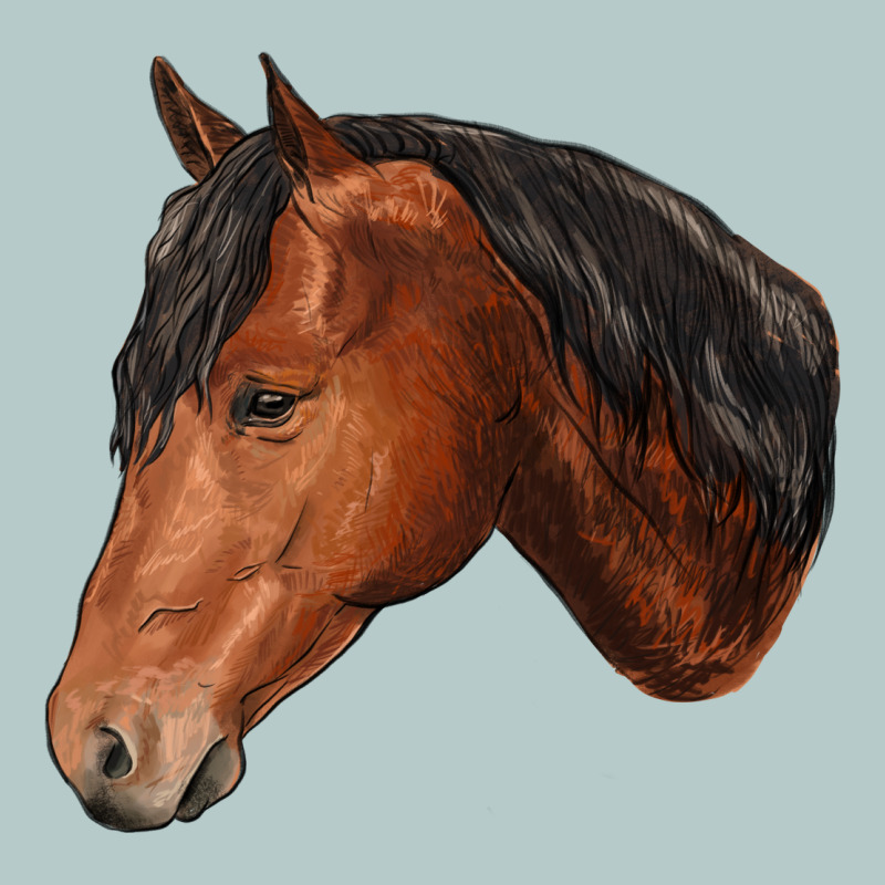 Horse Heavy Core Tee by RanaPortraitStore | Teevron