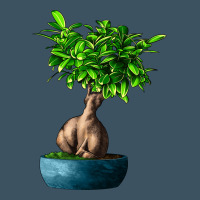 Ficus Ginsenge Urban Heavy Tee | Teevron
