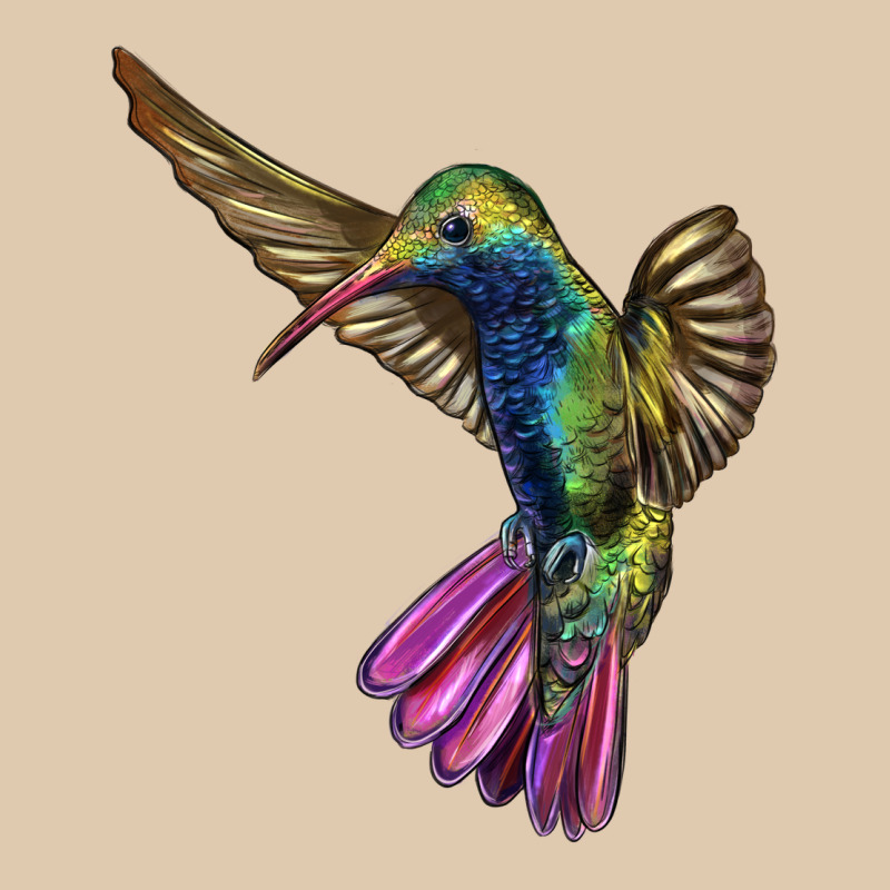 Broad Billed Hummingbird Heavyweight Sweatshirt by LillyAllenDesigns | Teevron