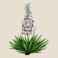 Yucca Flower Iiiustrations Urban Heavy Tee | Teevron