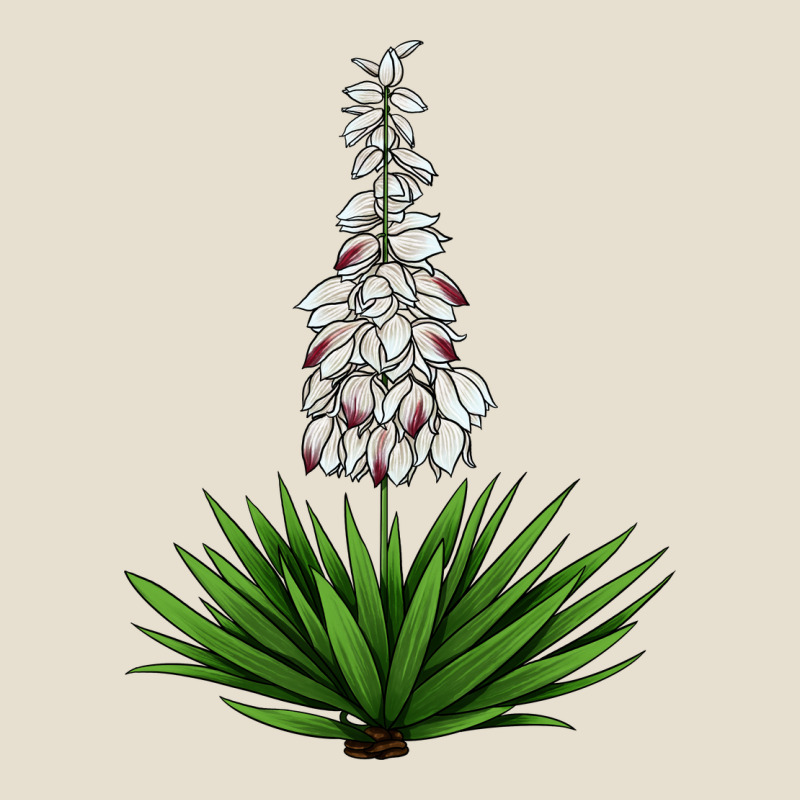 Yucca Flower Iiiustrations Urban Heavy Tee by LillyAllenDesigns | Teevron
