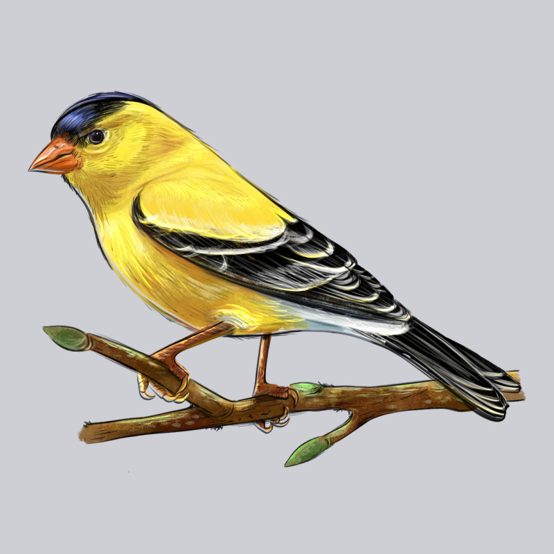 American Goldfinch Heavyweight Sweatshirt by LillyAllenDesigns | Teevron