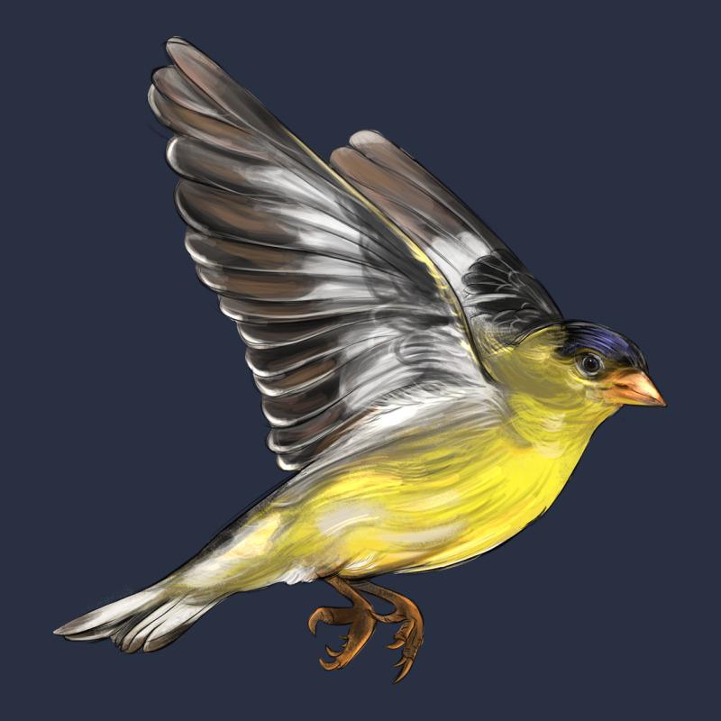 Flying American Goldfinch Heavyweight Sweatshirt by LillyAllenDesigns | Teevron