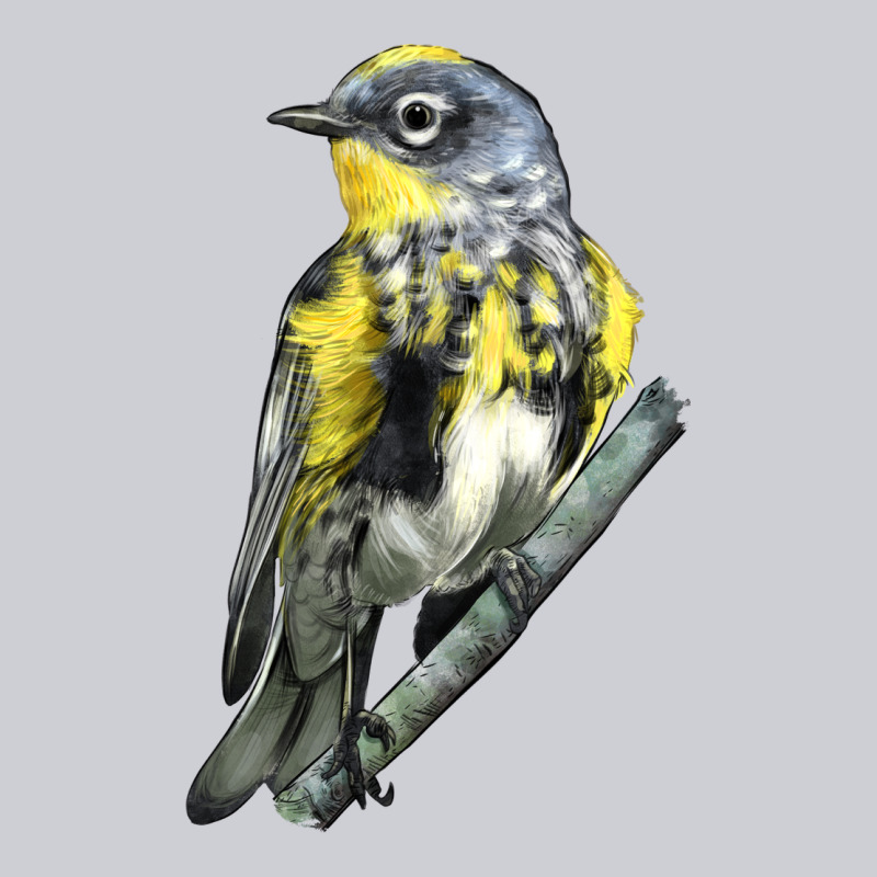Yellow Rumped Warbler Heavyweight Sweatshirt by LillyAllenDesigns | Teevron