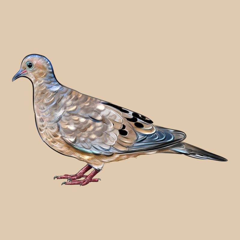 American Dove Heavyweight Sweatshirt by LillyAllenDesigns | Teevron