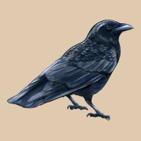American Crow Heavyweight Sweatshirt | Teevron