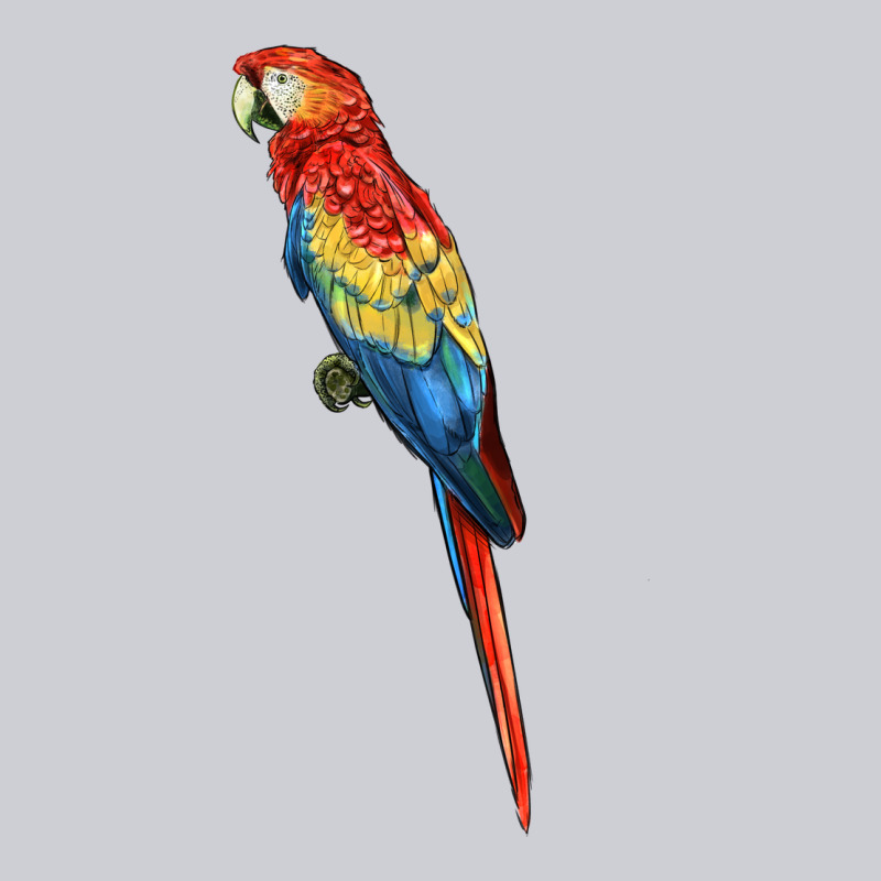 Scarlet Macaw Parrot Heavyweight Sweatshirt by LillyAllenDesigns | Teevron