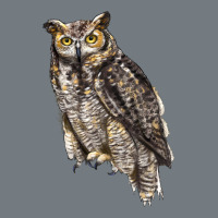Great Horned Owl Heavyweight Sweatshirt | Teevron