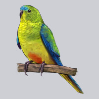 Neophema Parrot Heavyweight Sweatshirt | Teevron
