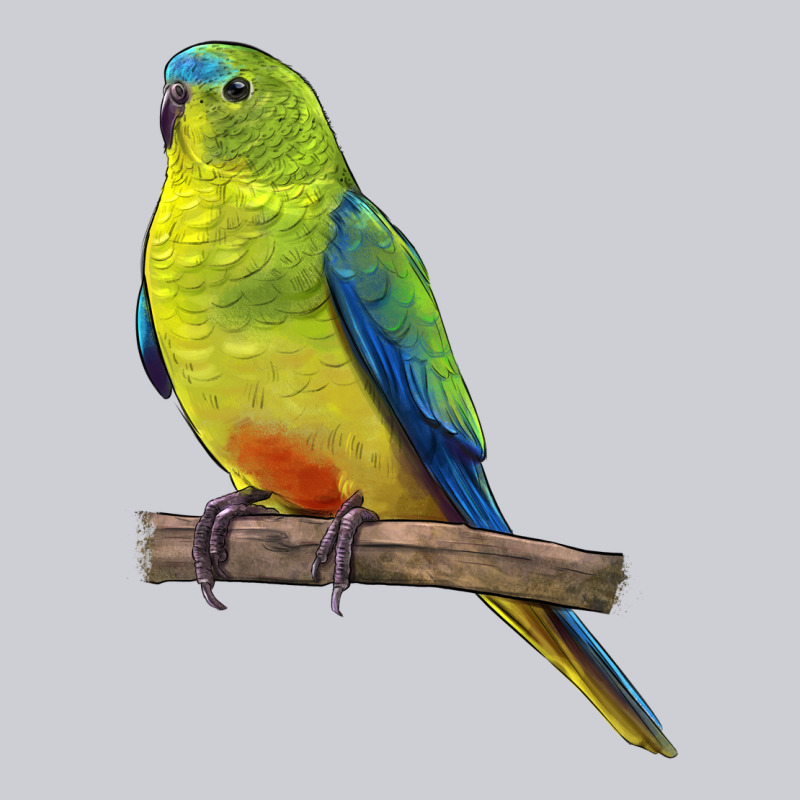Neophema Parrot Heavyweight Sweatshirt by LillyAllenDesigns | Teevron