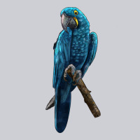 Hyacinth Macaw Heavyweight Sweatshirt | Teevron