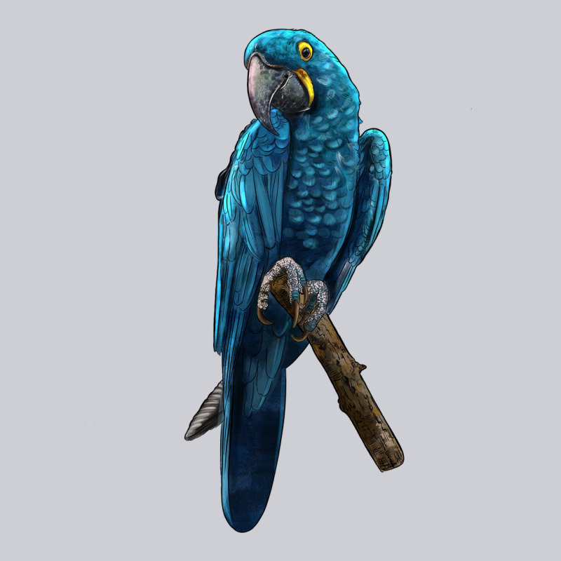 Hyacinth Macaw Heavyweight Sweatshirt by LillyAllenDesigns | Teevron