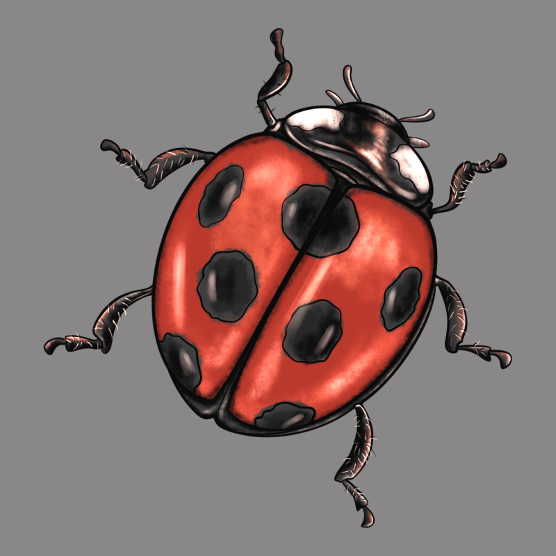 Ladybug Vintage Tee by BarkalooDesign | Teevron