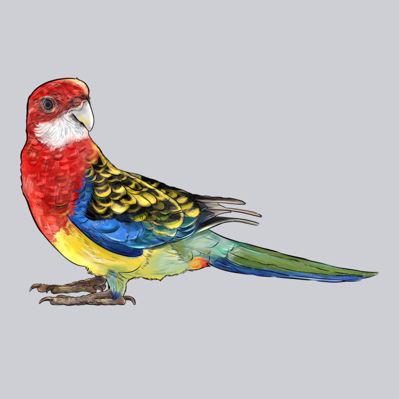 Rosella Bird Heavyweight Sweatshirt by LillyAllenDesigns | Teevron