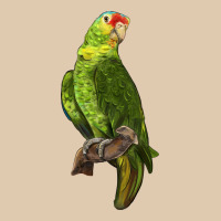 New Zealand Paraket Parrot Heavyweight Sweatshirt | Teevron