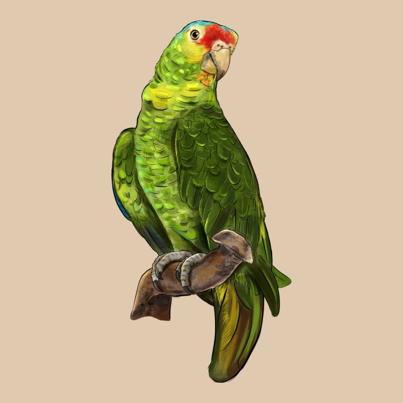New Zealand Paraket Parrot Heavyweight Sweatshirt by LillyAllenDesigns | Teevron
