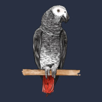 African Gray Parrot Bird Heavyweight Sweatshirt | Teevron