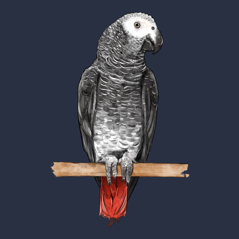 African Gray Parrot Bird Heavyweight Sweatshirt by LillyAllenDesigns | Teevron