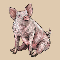 American Yorkshire Pig Heavyweight Sweatshirt | Teevron