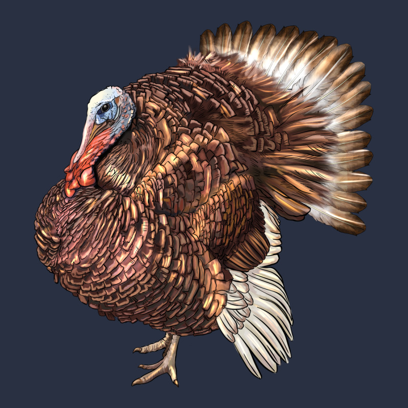 Bourbon Red Turkey Heavyweight Sweatshirt by LillyAllenDesigns | Teevron