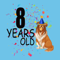 8 Years Old Black Premium Sweatshirt | Teevron