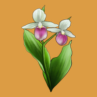 Pink And White Lady's Slipper Flower Illustrations Urban Heavy Tee | Teevron