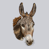 Andalusian Donkey Face Heavyweight Sweatshirt | Teevron