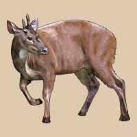 Red Brocket Buck Deer Heavyweight Sweatshirt | Teevron