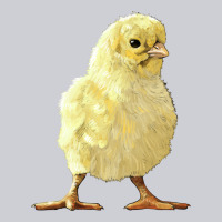 Chick Heavyweight Sweatshirt | Teevron
