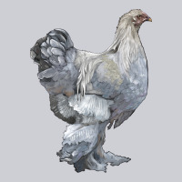 Brahma Chicken Heavyweight Sweatshirt | Teevron
