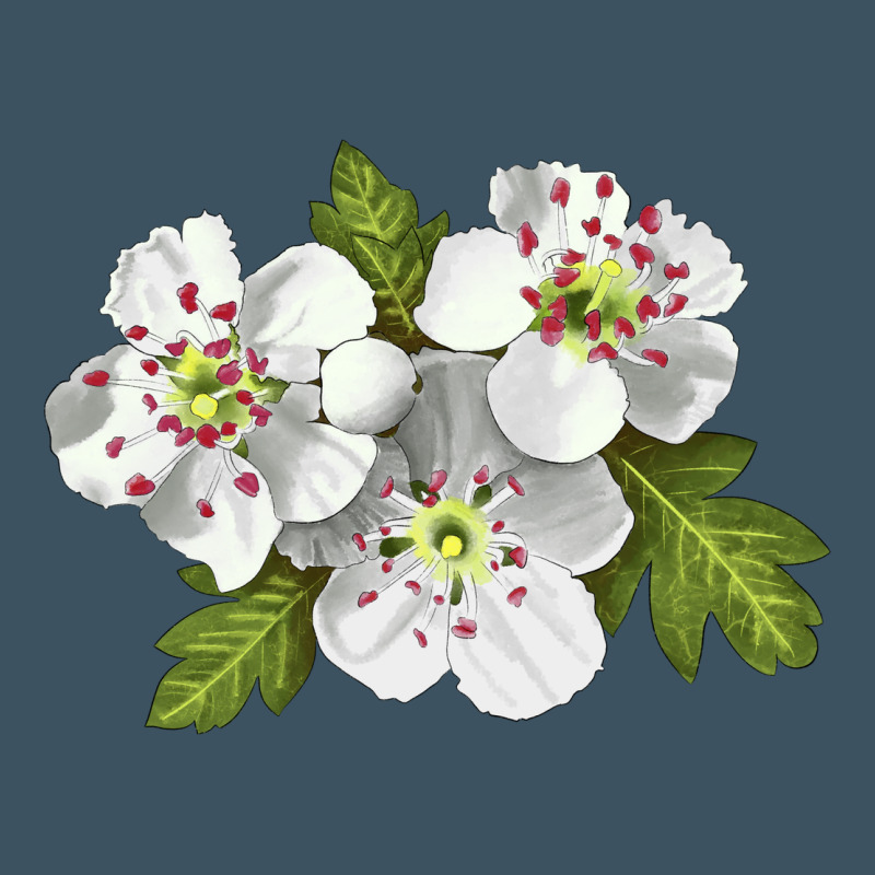 Hawthorn Flower Illustrations Urban Heavy Tee by LillyAllenDesigns | Teevron