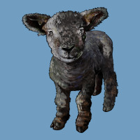 Southdown Baby Sheep Urban Heavy Tee | Teevron