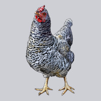 Dominique Chicken Heavyweight Sweatshirt | Teevron